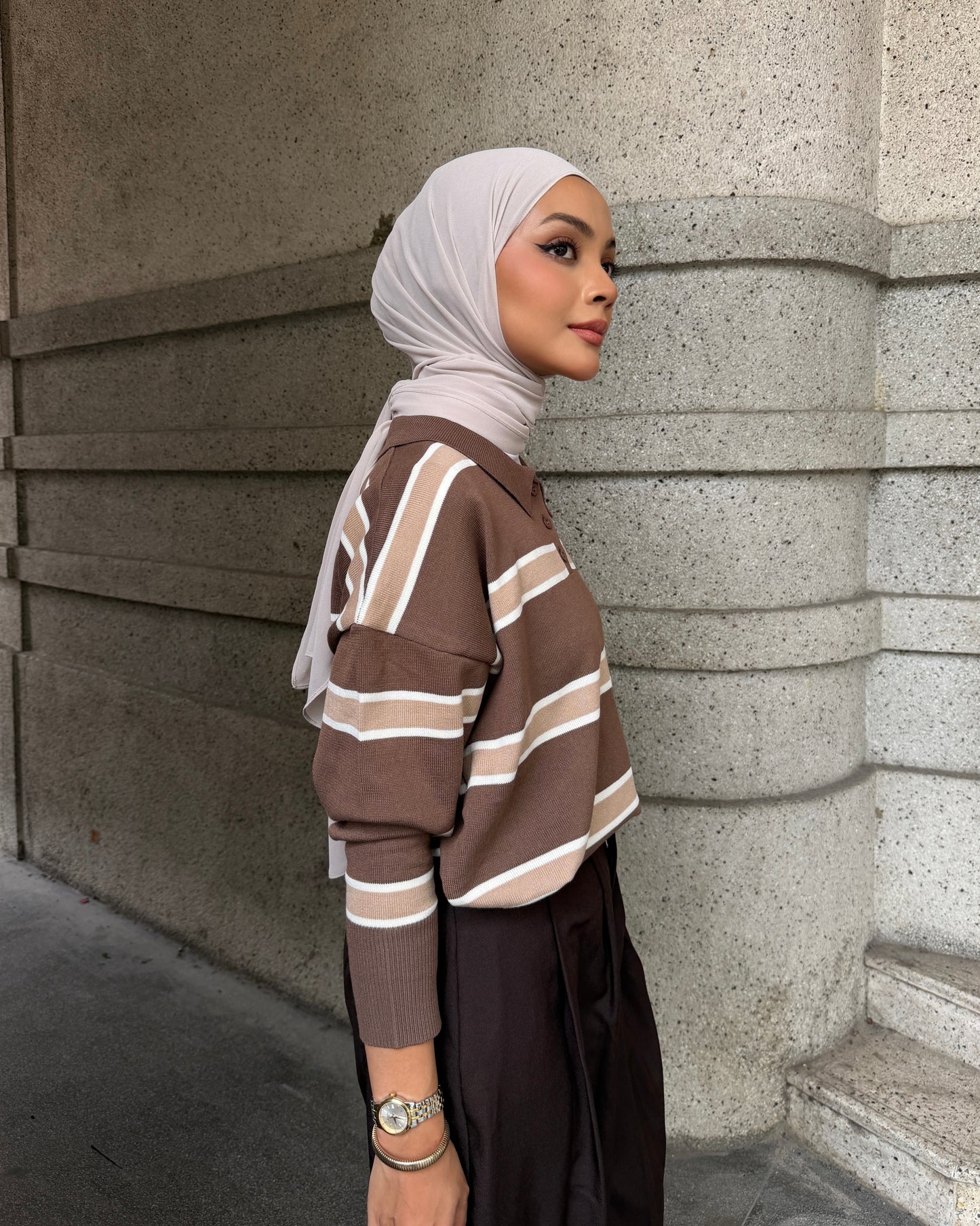 The Stripes in Brown